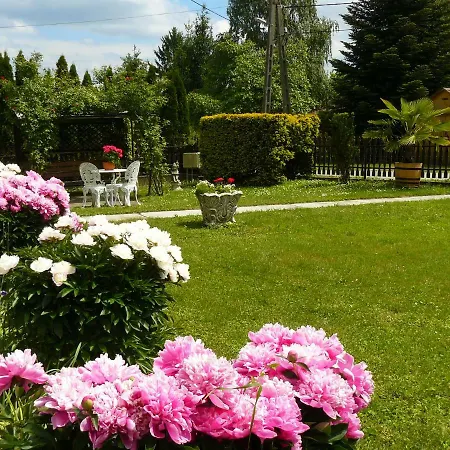 Orsegi Gorza Vendeghaz Nagyrákos